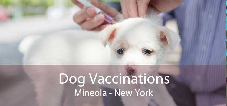 Dog Vaccinations Mineola - New York