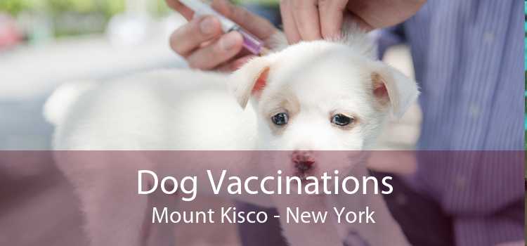 Dog Vaccinations Mount Kisco - New York