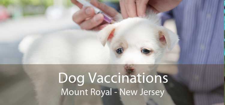 Dog Vaccinations Mount Royal - New Jersey