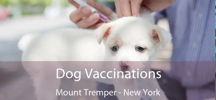Dog Vaccinations Mount Tremper - New York