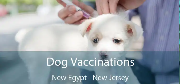 Dog Vaccinations New Egypt - New Jersey
