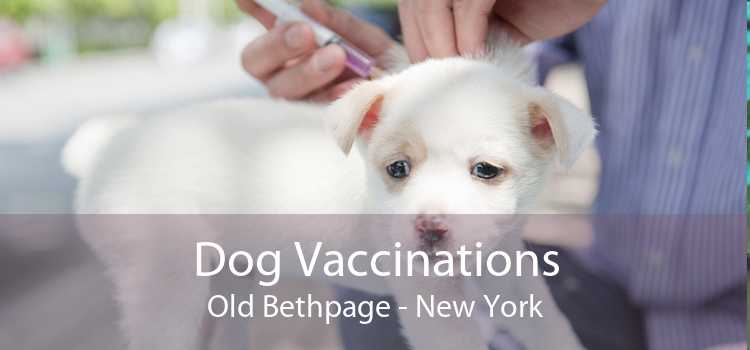 Dog Vaccinations Old Bethpage - New York