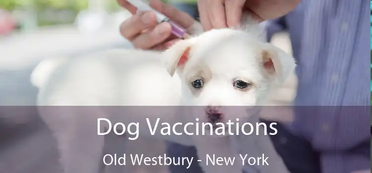 Dog Vaccinations Old Westbury - New York
