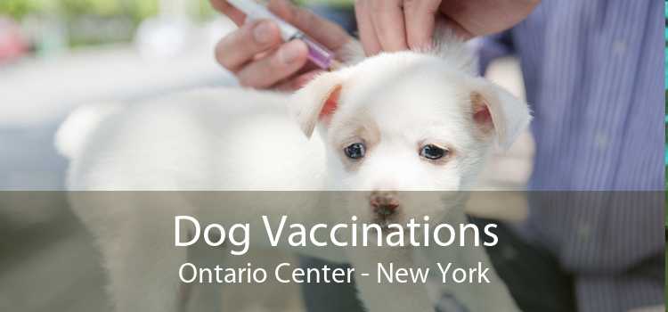 Dog Vaccinations Ontario Center - New York