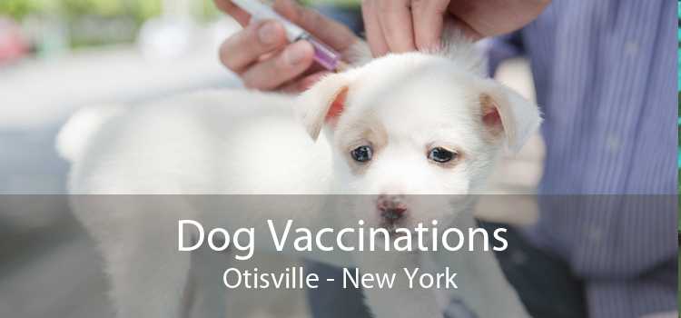 Dog Vaccinations Otisville - New York