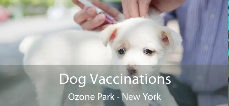 Dog Vaccinations Ozone Park - New York