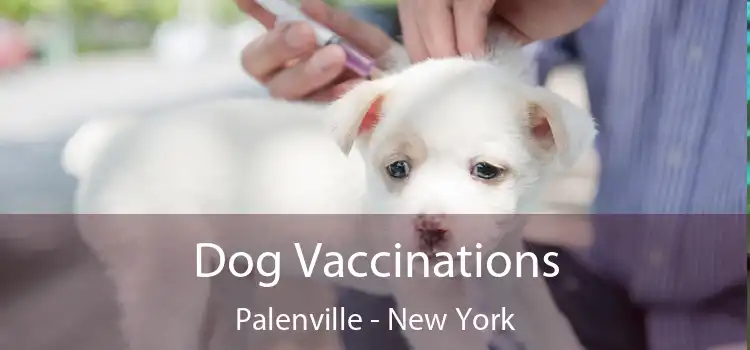 Dog Vaccinations Palenville - New York