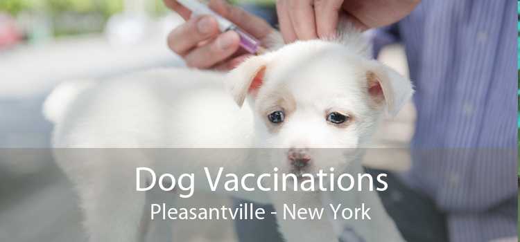 Dog Vaccinations Pleasantville - New York