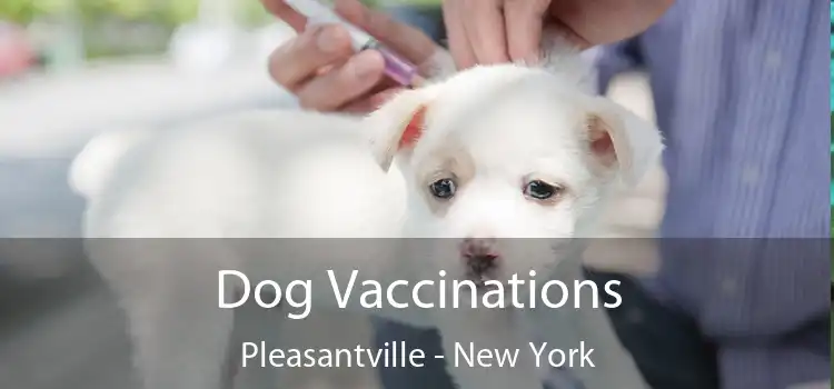 Dog Vaccinations Pleasantville - New York