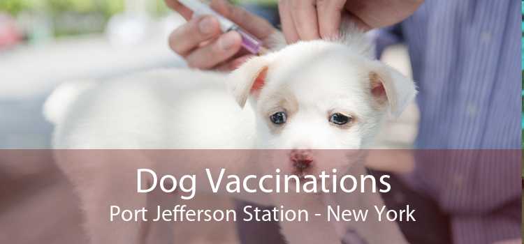 Dog Vaccinations Port Jefferson Station - New York