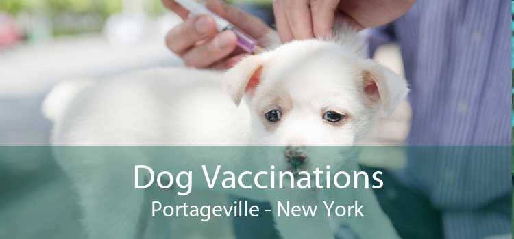 Dog Vaccinations Portageville - New York
