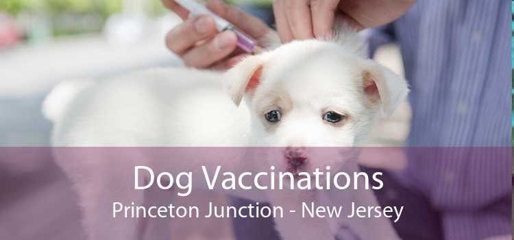 Dog Vaccinations Princeton Junction - New Jersey