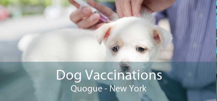 Dog Vaccinations Quogue - New York