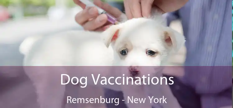 Dog Vaccinations Remsenburg - New York