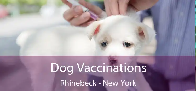 Dog Vaccinations Rhinebeck - New York