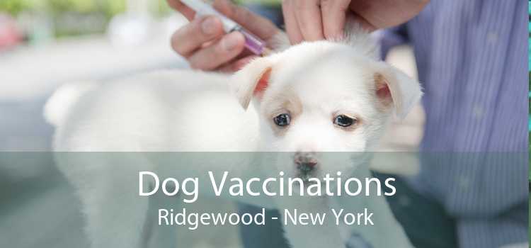 Dog Vaccinations Ridgewood - New York