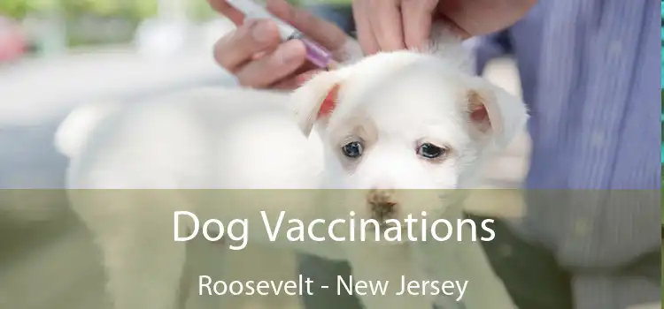 Dog Vaccinations Roosevelt - New Jersey
