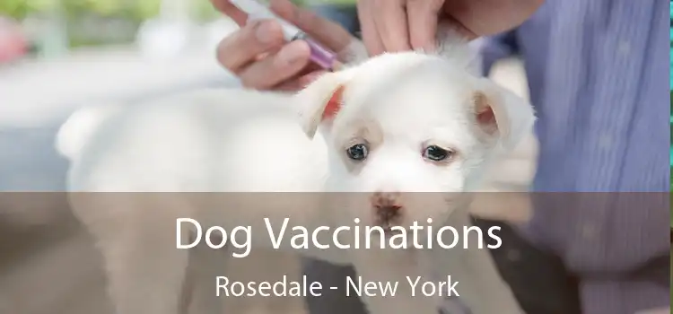 Dog Vaccinations Rosedale - New York