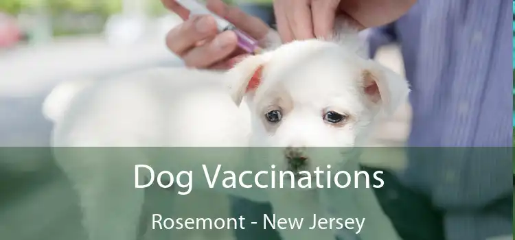 Dog Vaccinations Rosemont - New Jersey