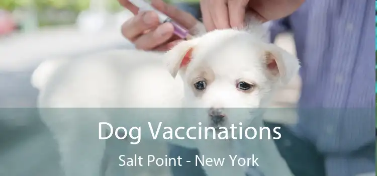 Dog Vaccinations Salt Point - New York