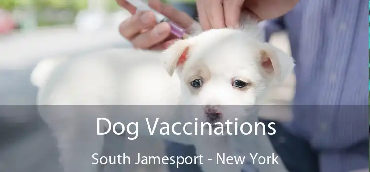 Dog Vaccinations South Jamesport - New York