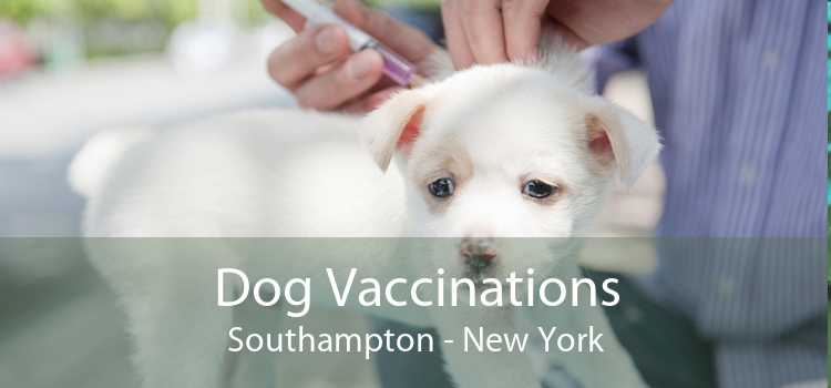 Dog Vaccinations Southampton - New York
