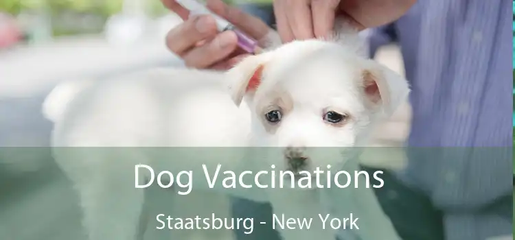 Dog Vaccinations Staatsburg - New York