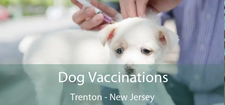 Dog Vaccinations Trenton - New Jersey
