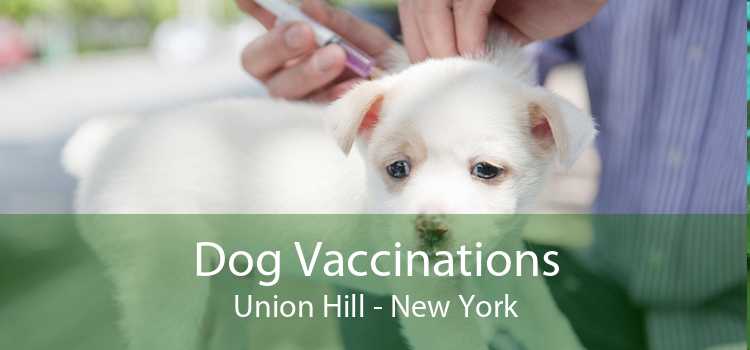 Dog Vaccinations Union Hill - New York