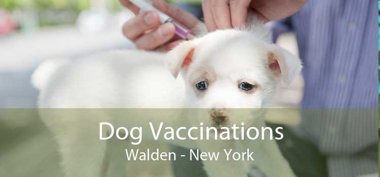 Dog Vaccinations Walden - New York