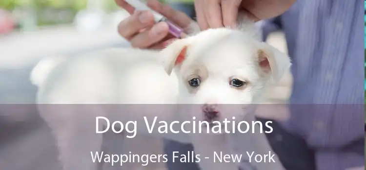 Dog Vaccinations Wappingers Falls - New York