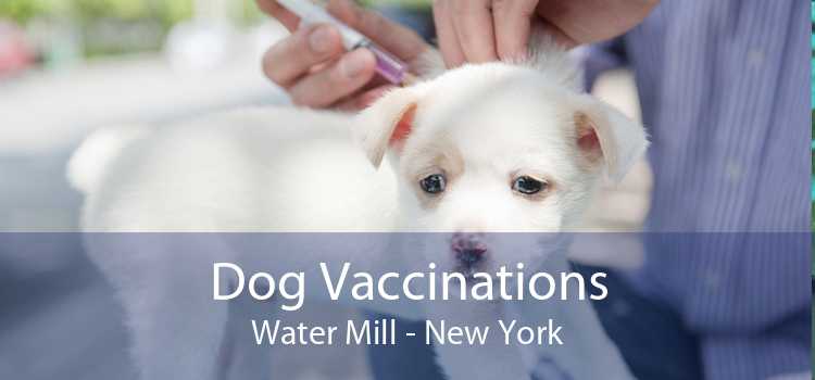 Dog Vaccinations Water Mill - New York