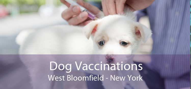 Dog Vaccinations West Bloomfield - New York