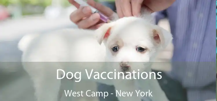 Dog Vaccinations West Camp - New York