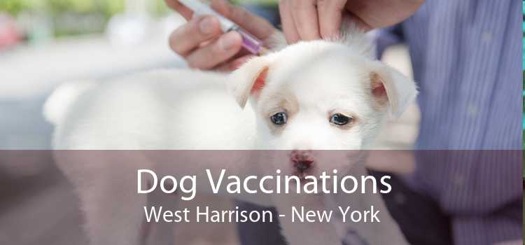 Dog Vaccinations West Harrison - New York