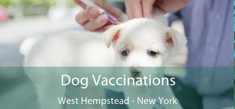 Dog Vaccinations West Hempstead - New York