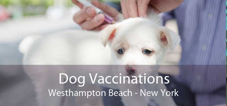 Dog Vaccinations Westhampton Beach - New York