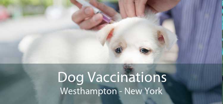 Dog Vaccinations Westhampton - New York