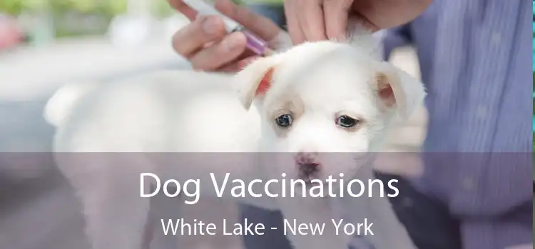 Dog Vaccinations White Lake - New York