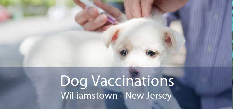 Dog Vaccinations Williamstown - New Jersey