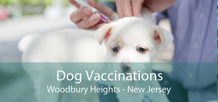 Dog Vaccinations Woodbury Heights - New Jersey