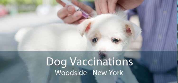 Dog Vaccinations Woodside - New York