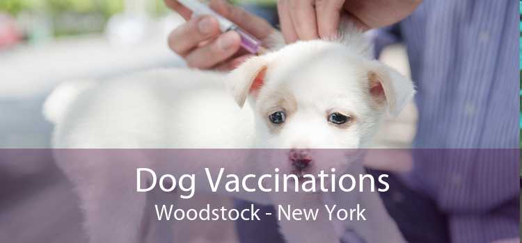Dog Vaccinations Woodstock - New York