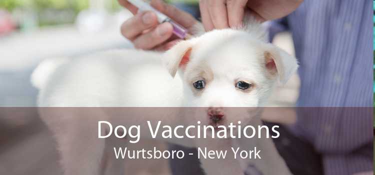 Dog Vaccinations Wurtsboro - New York