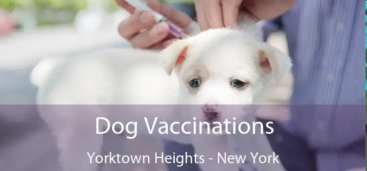 Dog Vaccinations Yorktown Heights - New York