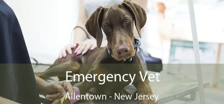 Emergency Vet Allentown - New Jersey
