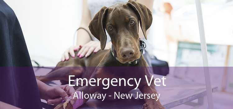 Emergency Vet Alloway - New Jersey