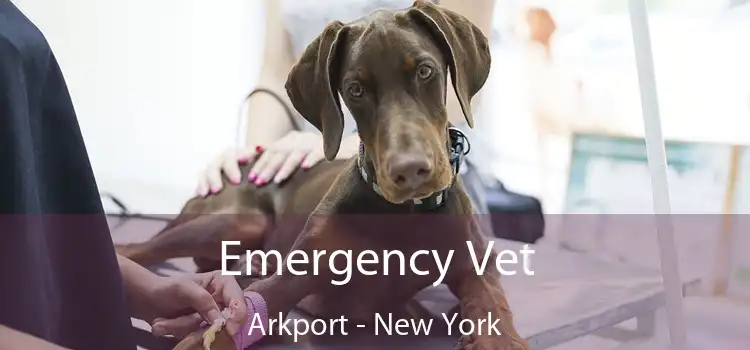 Emergency Vet Arkport - New York