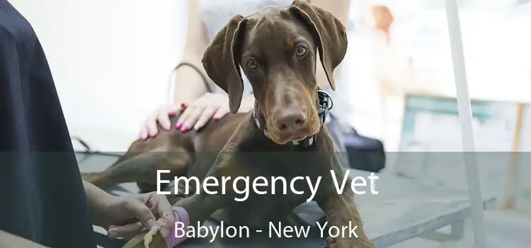Emergency Vet Babylon - New York