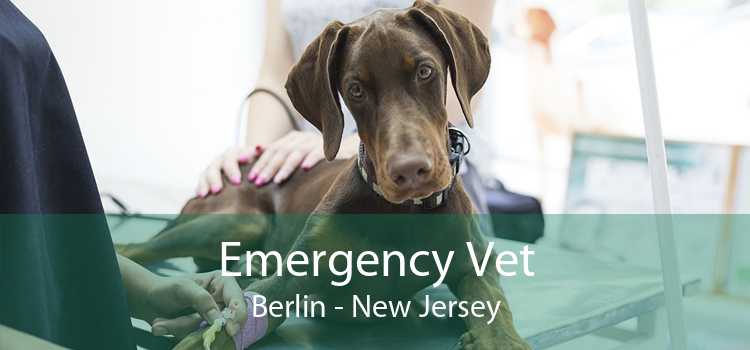Emergency Vet Berlin - New Jersey